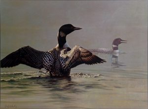“Jewels of the Lake” - Common Loons by Guy Coheleach