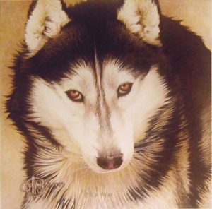 ““Quiet Time Companions- Siberian Husky” by Scott Kennedy