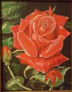 A Rose by Dennis D Dunn